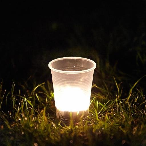 Image - L&rsquo;agenda des Veilleurs et des Sentinelles (semaine du 29 août au 04 septembre)