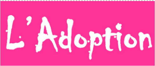 Image - Après le mariage la semaine dernière, cette semaine :   L&rsquo;adoption