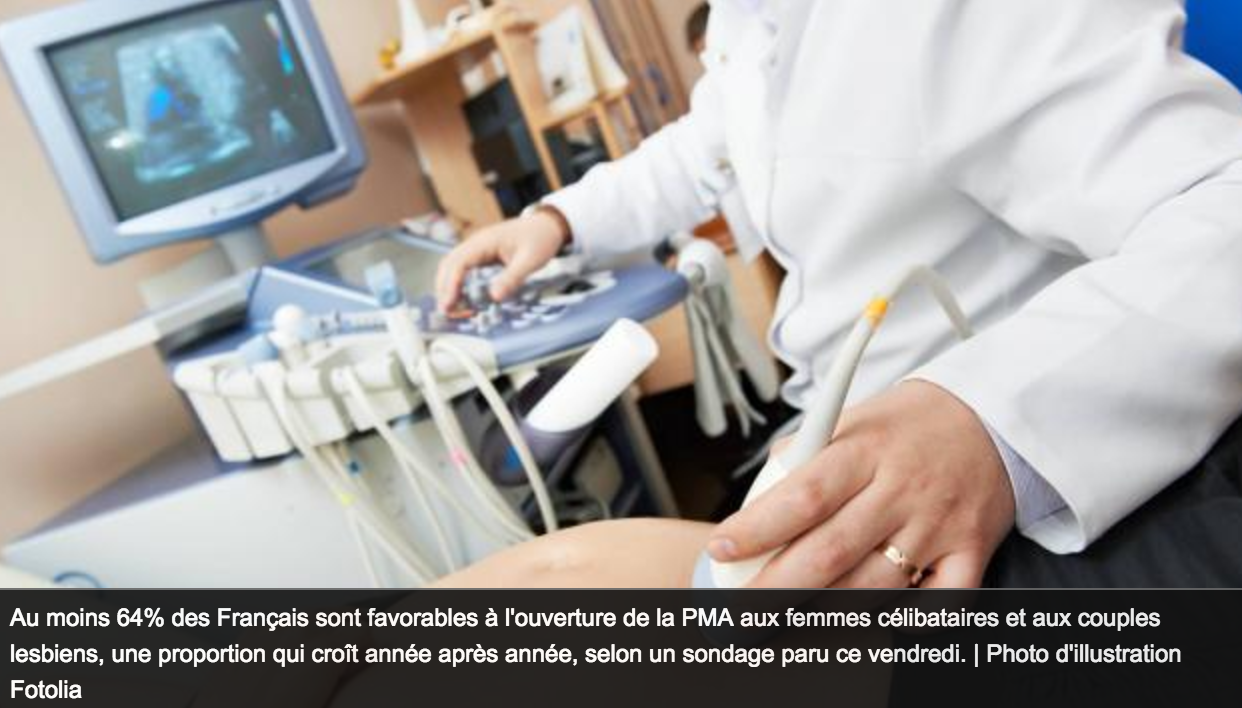 Image - Ouest France : « Sondages. Les Français partagés sur la PMA pour toutes les femmes »