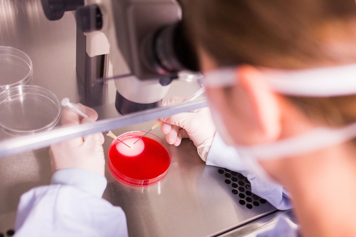 Image - La Croix : « Le gouvernement entend ouvrir la PMA « à toutes les femmes » »