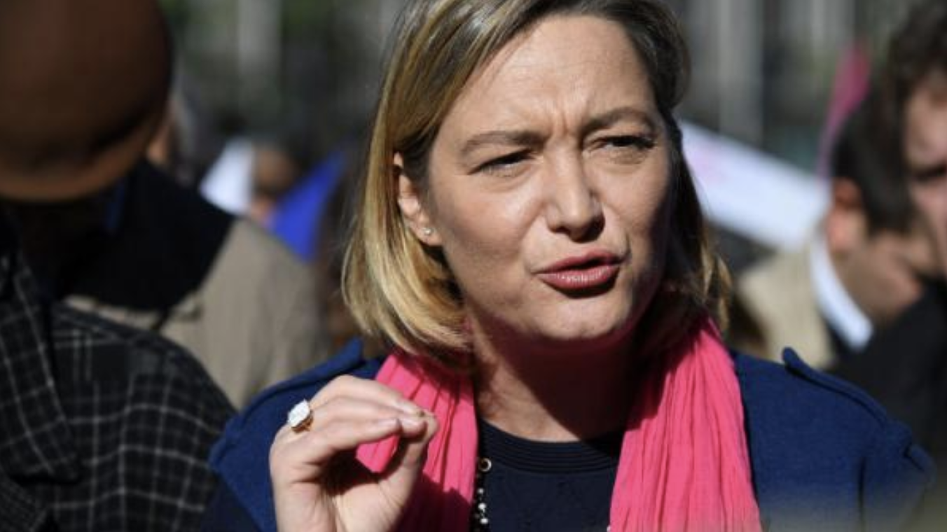 Image - France info : « La Manif pour tous dément comparer dans un visuel les enfants nés d’une PMA avec des légumes OGM »