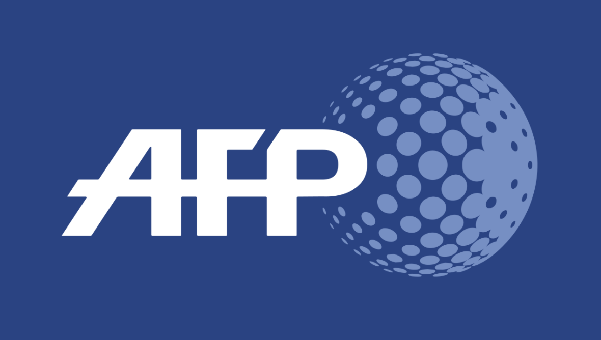 Image - Dépêche AFP : GPA: la Manif pour Tous appelle Macron à « agir » contre une pratique « en plein essor »