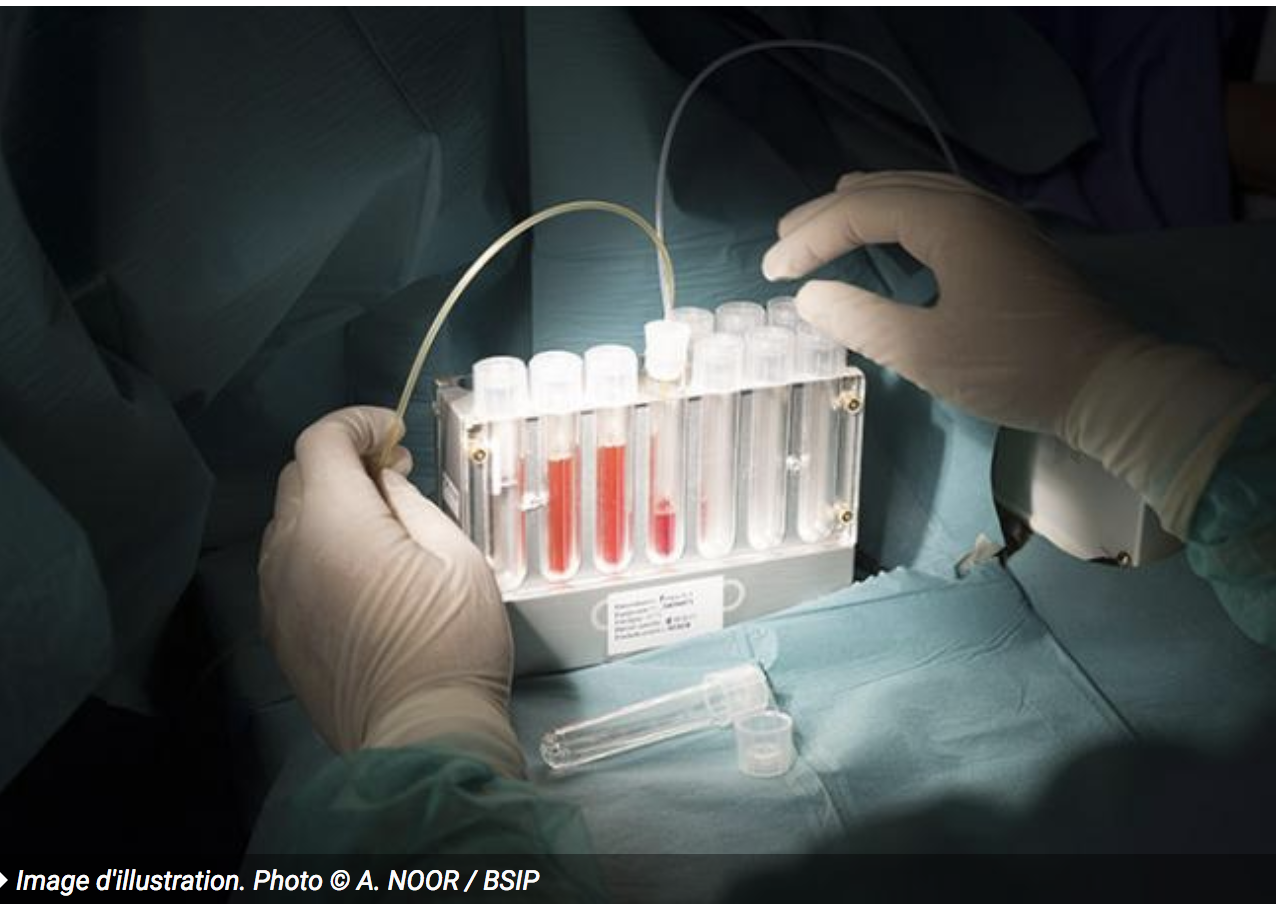 Image - Valeurs Actuelles : "Sondage La Croix sur la bioéthique : une révolution en trompe-l’œil"