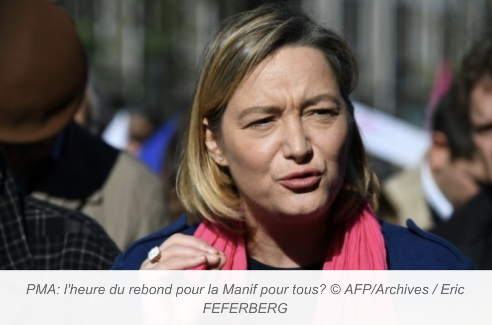 Image - Dépêche AFP du 15 janvier 2017