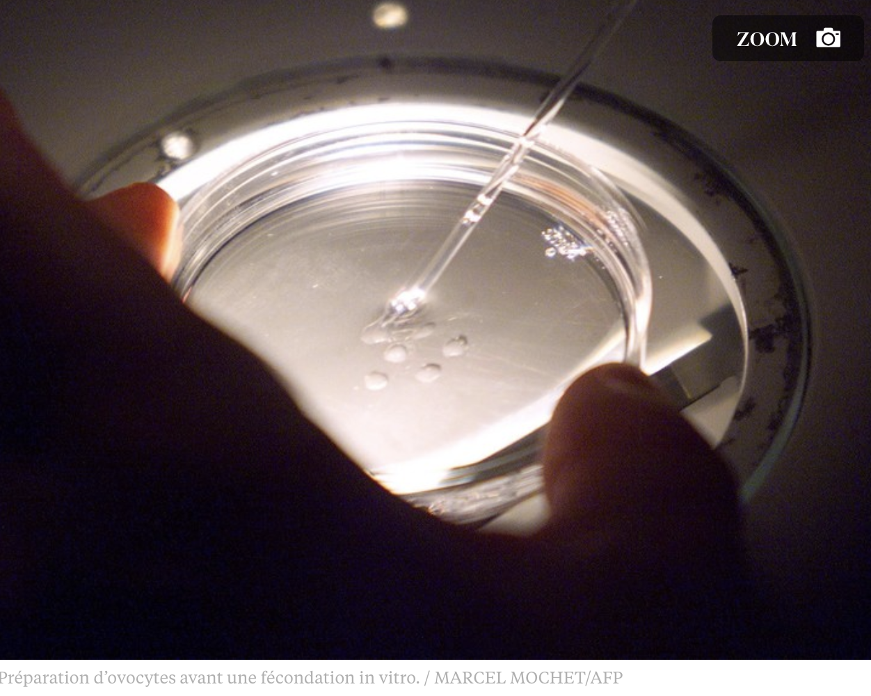 Image - La Croix : "Bioéthique, les sondages en question"