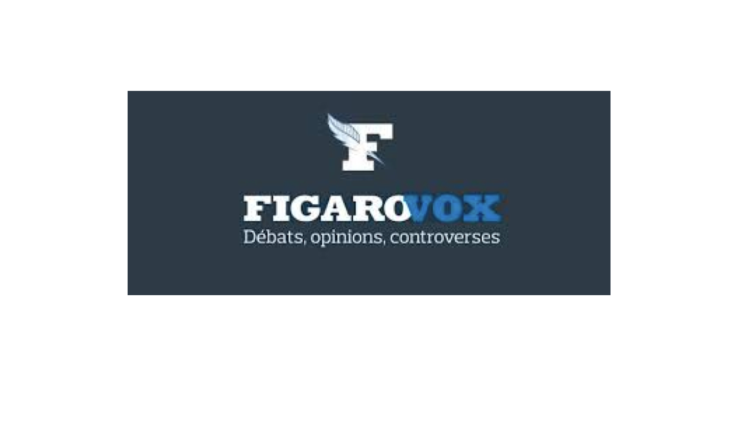 Image - Le Figaro Vox : Éditorial : «Question de conscience»